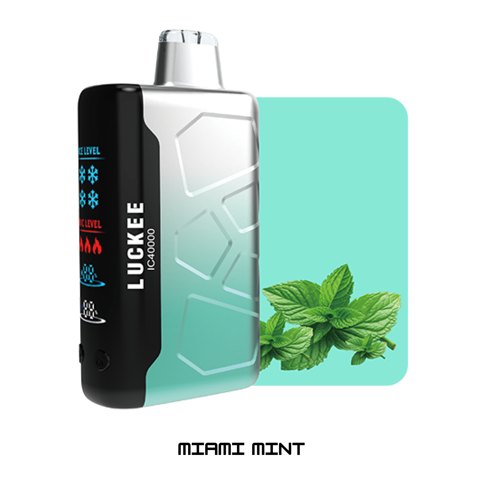 Miami_Mint_608dcde1-dfcb-4d71-820e-ead525ca0f9a Miami Mint 608dcde1 dfcb 4d71 820e ead525ca0f9a